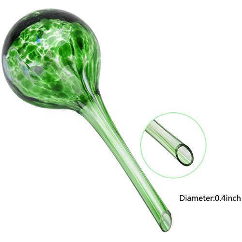 6 Watering+Globes+Fascigirl+Plant+Automatic