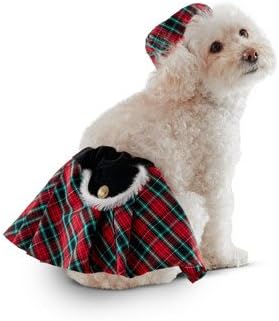 kilts for small dogs