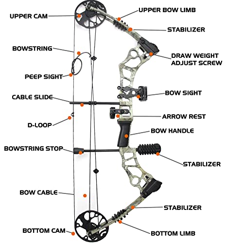 Archery Compound Bow and Arrow for Adults and Youth，Bowfishing and Hunting Bow Set, 320 fps,18