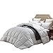 WENERSI White Down Comforter Full/Queen Size,Duvet Insert 1000TC- 100% Egyptian Cotton Cover with Ultra Fresh,750+ Fill Power