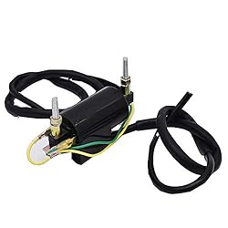 labwork Dual Lead Wire Ignition Coil 12Volts
