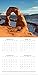 2018 National Parks Calendar - 12 x 12 Wall Calendar - With 210 Calendar Stickers