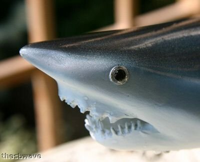 Land & Sea Taxidermy 20" Fiberglass Mako Shark Sculpture Statue