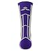 Epivive Velocity Grey & Purple Football, Basketball, Lacrosse Socks (Small)