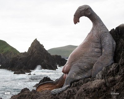 Star Wars Authentics Thala-siren in 'Star Wars: The Last Jedi' 8x10 Photo