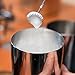 BOCHA Two Speed Stainless Steel Electric Milk Frother with 2 AA Batteries