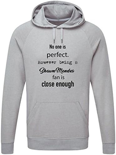 No One Is Perfect. However Being a Shawn Mendes Fan Close Enough Lightweight Hooded Sweatshirt (Light Grey)