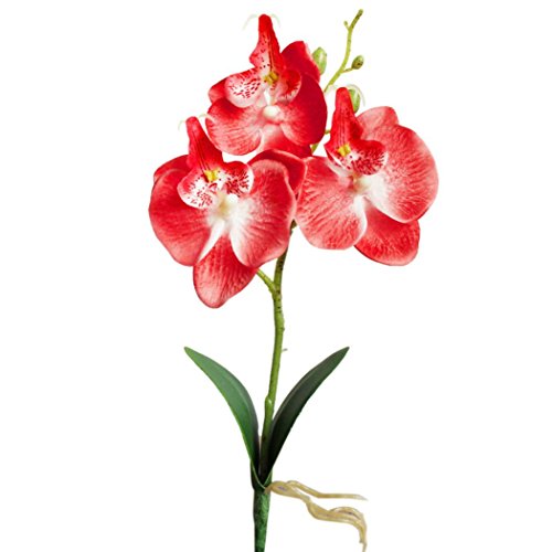 Vibola® Artificial flowers silk flower fake butterfly orchid with leaves Phalaenopsis floras for wedding home decoration (Red)