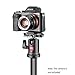 Neewer Camera Video Tripod Ball Head 360 Degree Rotating Panoramic Ballhead with 1/4 inch Quick Shoe Plate and Bubble Level for Tripod Monopod DSLR Camera Camcorder, Load up to 11 pounds/5 kilograms
