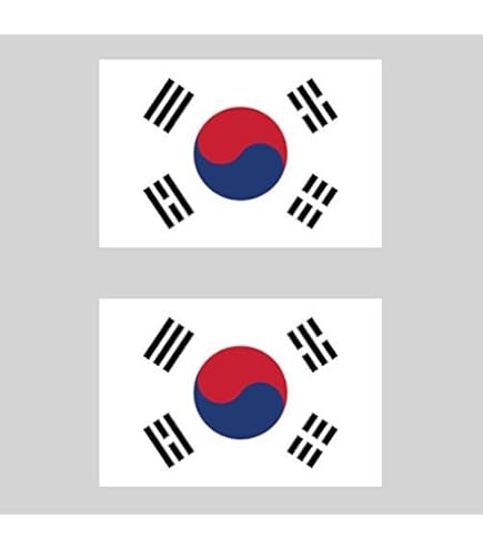 Boeing E-3 Sentry ARABIE SAOUDITE AWACS Armée De L'Air 95mm Vinyle