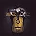 Punk Goes Acoustic 2