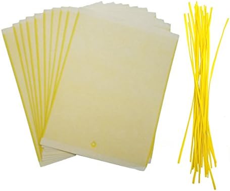 Aoyoho 20 Pack Dual-Sided Yellow Sticky Traps(6x8 inch) for Flying Plant Insect Like Fungus Gnats Aphids Whiteflies Leafminers