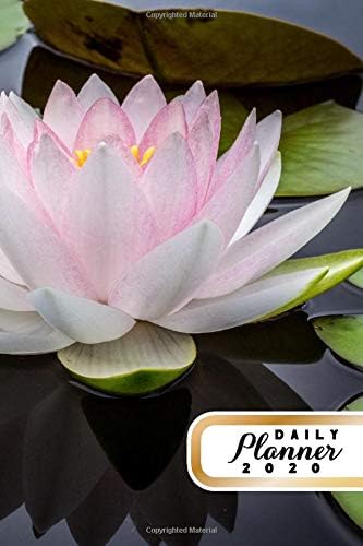 Daily Planner 2020: Lotus Flower 52 Weeks 365 Day Daily Planner for Year 2020 6”x9” Everyday Organizer Monday to Sunday Fresh Water Plant Life Plan ... New Year Gift 2020 Pink Green Floral Design