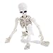 Kalttoyi Movable Mr. Bones Skeleton Human Model Skull Full Body Mini Figure Toy Halloween