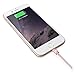 1byone Lightning Cable(3.28ft), Apple MFI Certified Lightning to USB Nylon Braided Cable for iPhone 5s 5c 5 iPhone 7 Plus 6s 6 , iPad mini, iPad Air, iPad Pro, iPod touch 6th / nano 7th Gen, Rose Gold