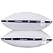 HOMEIDEAS Luxury Plush Gel Fiber Pillows (2 Pack, Queen), 100% Cotton Hotel Down-Alternative Gusseted Pillows, Good for Side and Back Sleeper