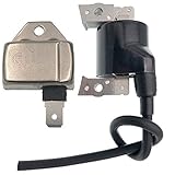 PARTSRUN BM11 21119-2161 Igniter Module Ignitor