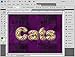 Adobe Photoshop CS4 Tutorial and Adobe Premiere Pro CS4 Training on 5 DVDs