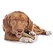 Cadet Premium Grade Pressed Beef Hide Bones, Long Lasting Rawhide Dog Chews, 6.5 Inch (12 Count)