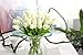COOBL Artificial Silk Flower High Grade Decorative Tulip Flower Wedding Bouquet Bride Holding Garlands Vine DIY Floral Art Plant Bride Home Decor(20pcs) (White)