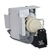 FI Lamps 5J.J7L05.001 for Replacement Projector Lamp for BenQ W1070 W1080ST Projector