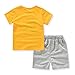 AJia Kids 2 Piece Short Sleeve Shirt and Shorts for 1 to 5 Years Olds Little Boy (2t, Yellow)