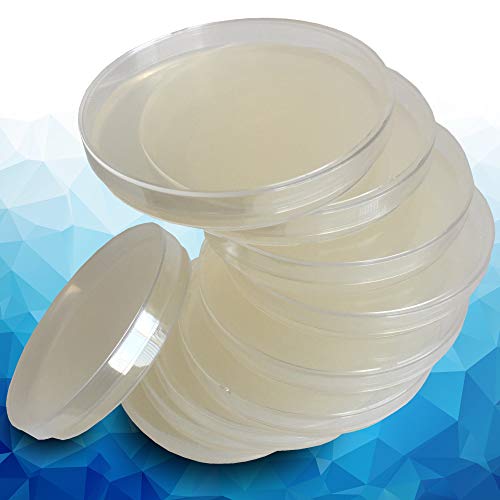 Nutrient Agar Plates by Evviva Sciences Sterile Prepoured Nutrient