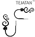 TEJATAN - Curtain Holdbacks for Wall (1 Pair) (can Also be Known as Curtain tieback Hooks or Drapery holdbacks or Curtain Holder for Wall or Curtain Hooks for Drapes or Drape Holder) (Black)
