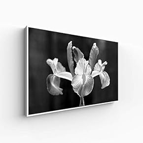 Canvas Wall Art for Living Room, Bedroom Monochrome Plants Framed Canvas Prints for Home Decoration Ready to Hang - 16x24 inches