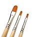 AIT Art Paint Brushes, Set of 8 Includes Angle Shaders, Filberts, and a Fan, Handmade in USA to Last Longer Without Shedding or Breaking, Allowing Painting with Brushes That Artists Trust to Perform
