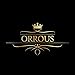ORROUS & CO Women's 18K White Gold Plated Cubic Zirconia Compass Rose Stud Earrings