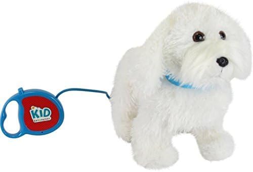 kid connection walking pet dog