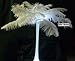 Six Star Sales Ostrich Deluxe Formal Snow White Feather Plume 18-24