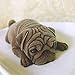 Pug Dog Shape Silicone Mold, Mousse Cake Mold, Polymer Clay Mold, Crafting, Resin Epoxy,DIY Fashion Decoration Tools Fondant Mold,Soap Mold,Candle Mold A045