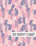 2019 Monthly Planner: Yearly Monthly Weekly 12 months 365 days Planner, Calendar Schedule, Appointme by Gladys C. Spencer