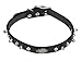 HARLEY-DAVIDSON Bar & Shield Spike 14'' Collar 5/8''W Black Leather H1705K-BK114