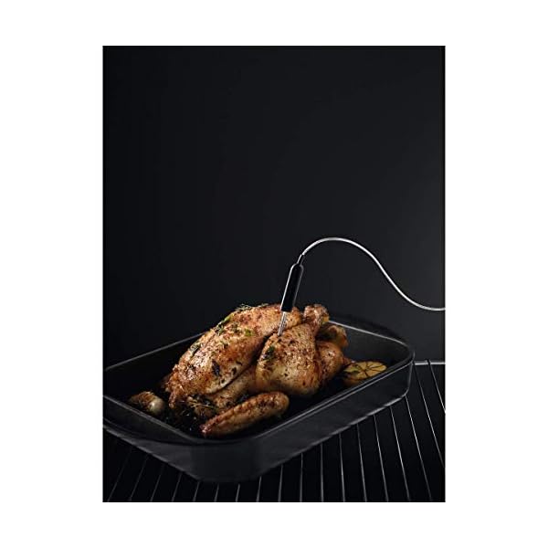 AEG BSE577121M Horno Multifunción, Limpieza Pirolítico, 9 funciones + Vapor,  Cocción Uniforme, Sonda Térmica, Ventilador… - Nanadeco store