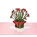 Paper Love Carnations Pop Up Cards (Carnation V1)