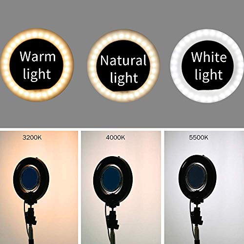 Dimmable Ring Light with Adjustable Height Light Stand,Selfie Stick and USB Plug,6" 3200K~5500K Beauty Table Top Lamp with Makeup Mirror,Mini Tripod and Phone Clamp, Perfect for Vlogs,YouTube Channel