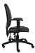 Boss Office Products Multi-Function LeatherPlus Task Chair With Adjustable Arms in Black