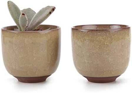T4U 2.5 Inch Ceramic Ice Crack Zisha Raised Serial succulent Plant Pot/Cactus Plant Pot Flower Pot/Container/Planter Yellow Package 1 Pack of 2