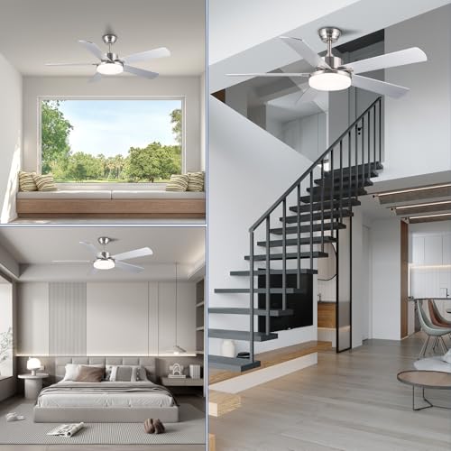 Newday 52" Ceiling Fan with Light and Silver Remote Control, Reversible 5 Ceiling Shovel with Dimmable Light, Large Silent Ceiling Fan for Living Room, Bedroom, Kitchen, Terrace