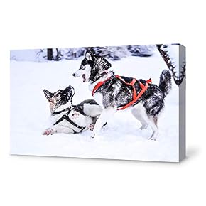 SIGNFORD Canvas Wall Art for Living Room,Bedroom Home...