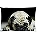 Moslion Pug Dog Pillowcase Polyester Soft Pillow Case Cushion Cover 12 x 20 Inches