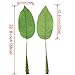 Warmter 5Pcs Tropical Leaves,Fake Artificial Banana Leaf for Home Kitchen Party Decorations (Green)