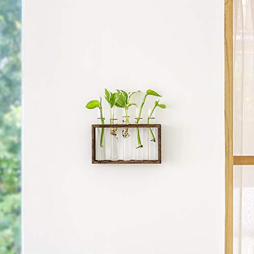 Mkono Wall Hanging Glass Planter Plant Terrarium Modern Flower Bud Vase in Wood Stand Rack