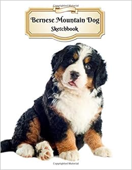 amazon bernese mountain dog