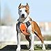 Big Dog Harness No Pull Adjustable Pet Reflective Oxford Soft Vest for Large Dogs Easy Control Harness (L, Orange)