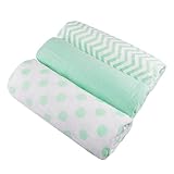 American Baby Company 100% Cotton Muslin Swaddle Blankets, Mint (47