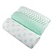 American Baby Company 100% Cotton Muslin Swaddle Blankets, Mint (47